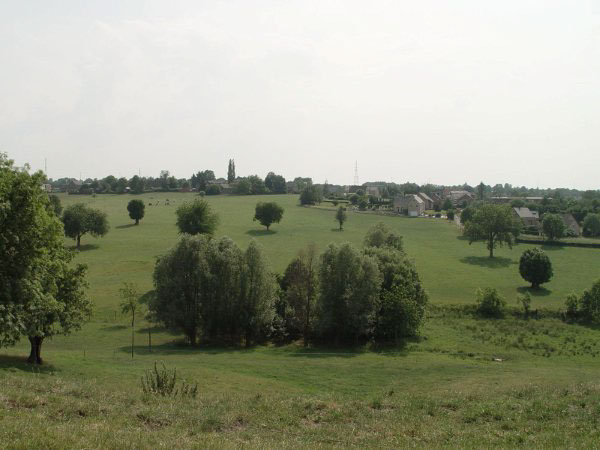 DSC00744