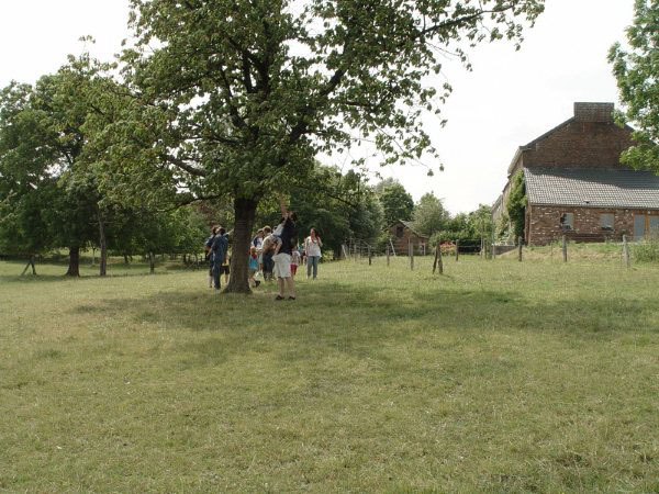 DSC00707